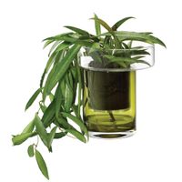 Lsa självvattnande kruka balcony Ø16cm