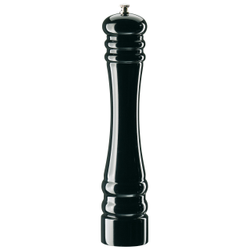 Zassenhaus Berlin Saltkvarn blank svart 30cm