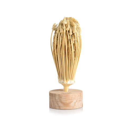 Rivsalt Rivsalt™ toothpick   - Rivsalt Rivsalt Rivsalt™ toothpick   - Rivsalt