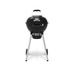 Broil king gem™ kettle premium 47