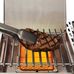 Broil king imperial qs 690 ir