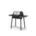 Broil king porta-chef™ 120