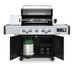 Broil king regal™ q 590 ir
