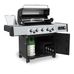 Broil king regal™ q 590 ir