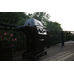 Broil king royal™ 340 shadow