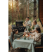 Broil king royal™ 340 shadow