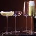 Lsa champangeglas coupé wine culture 32 cl 2-pack