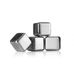 Vacuvin vacuvin whiskey stenar 4-pack silver